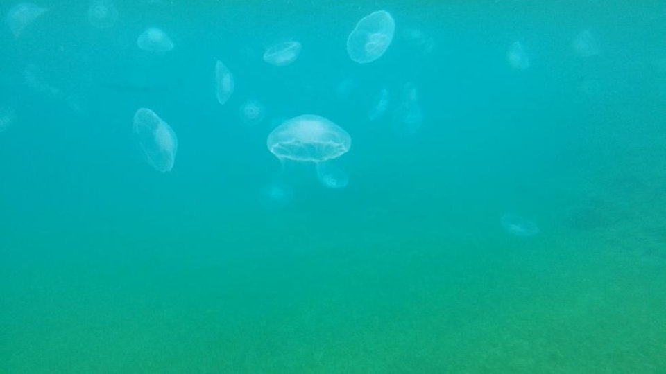Video Surveillance System in tourist semisubmarine